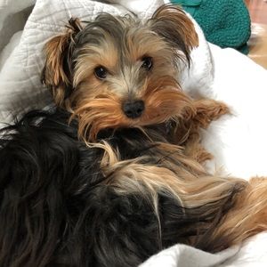 Meet your Posher, Michelle